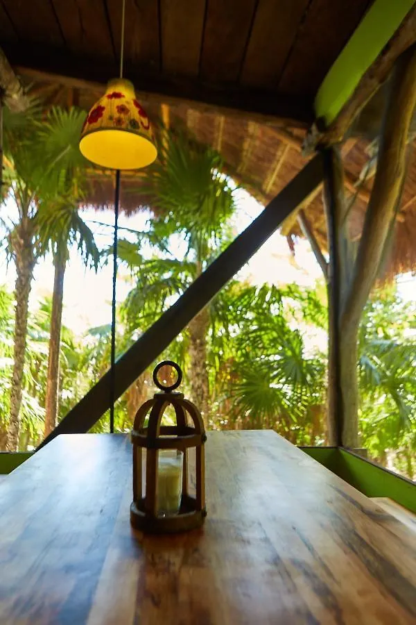 Jungle Beach Tulum Hotel 0*,  Mexico