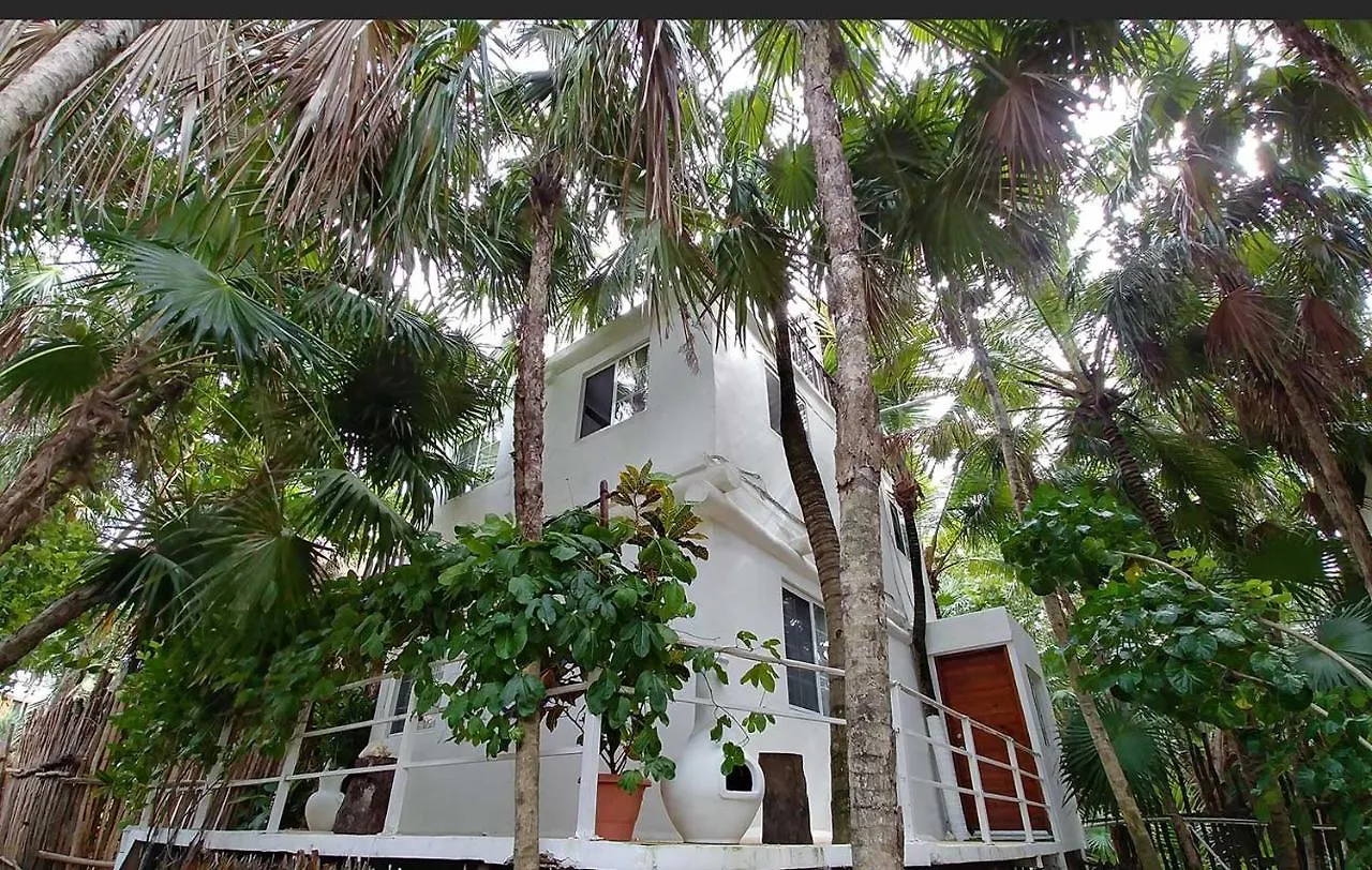 Jungle Beach Tulum Hotel