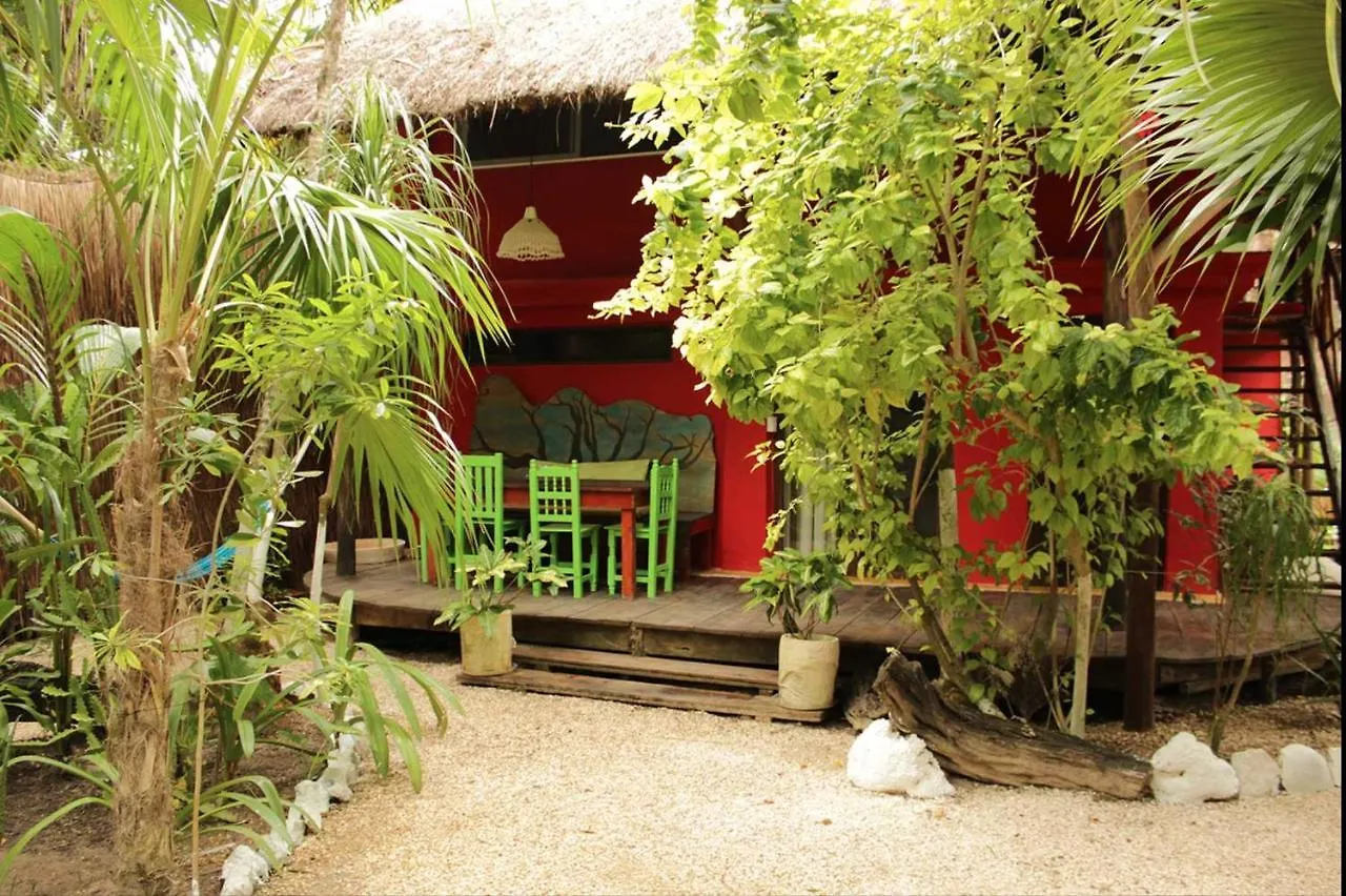 Herberg Jungle Beach Tulum Hotel