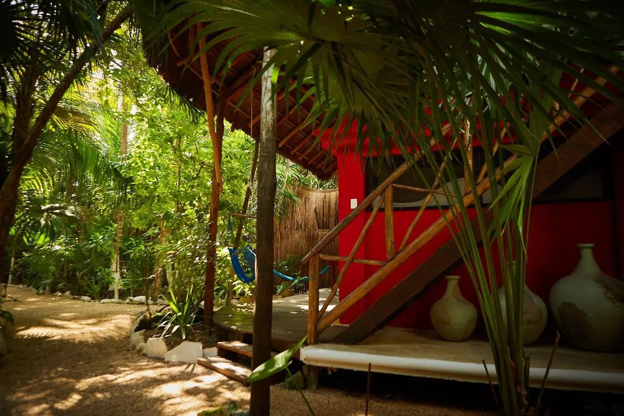 Herberg Jungle Beach Tulum Hotel