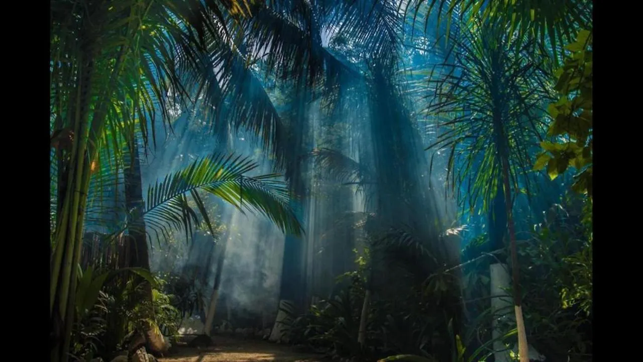 Отель Jungle Beach Тулум